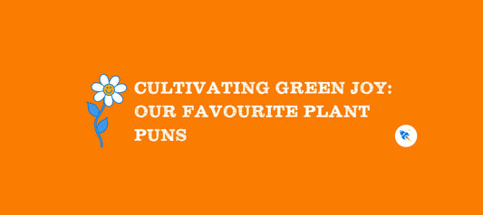 Cultivating Green Joy: Our Favourite Plant Puns