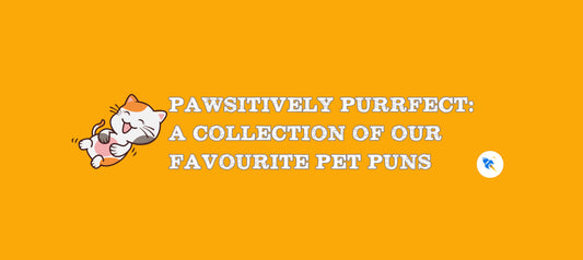 Pawsitively Purrfect: A Collection of Our Favourite Pet Puns