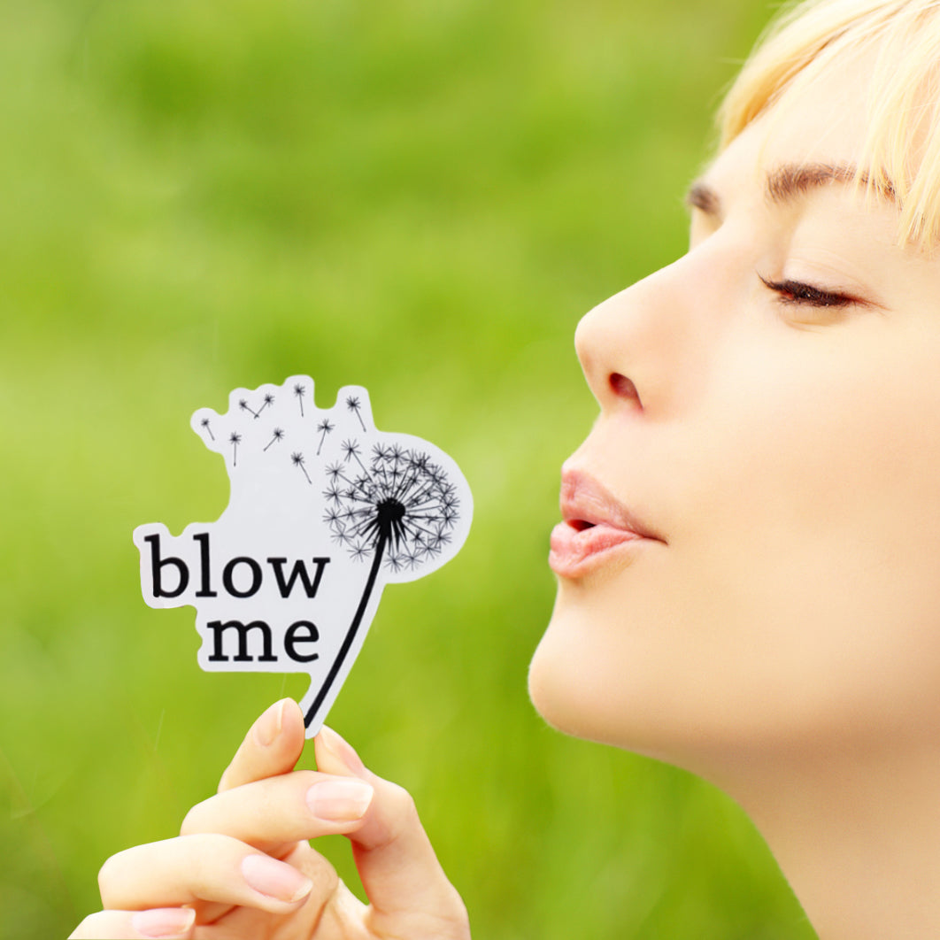 A photo of a vinyl sticker of a dandelion with its puffs blowing away. Text on fun sticker reads 'Blow Me.'