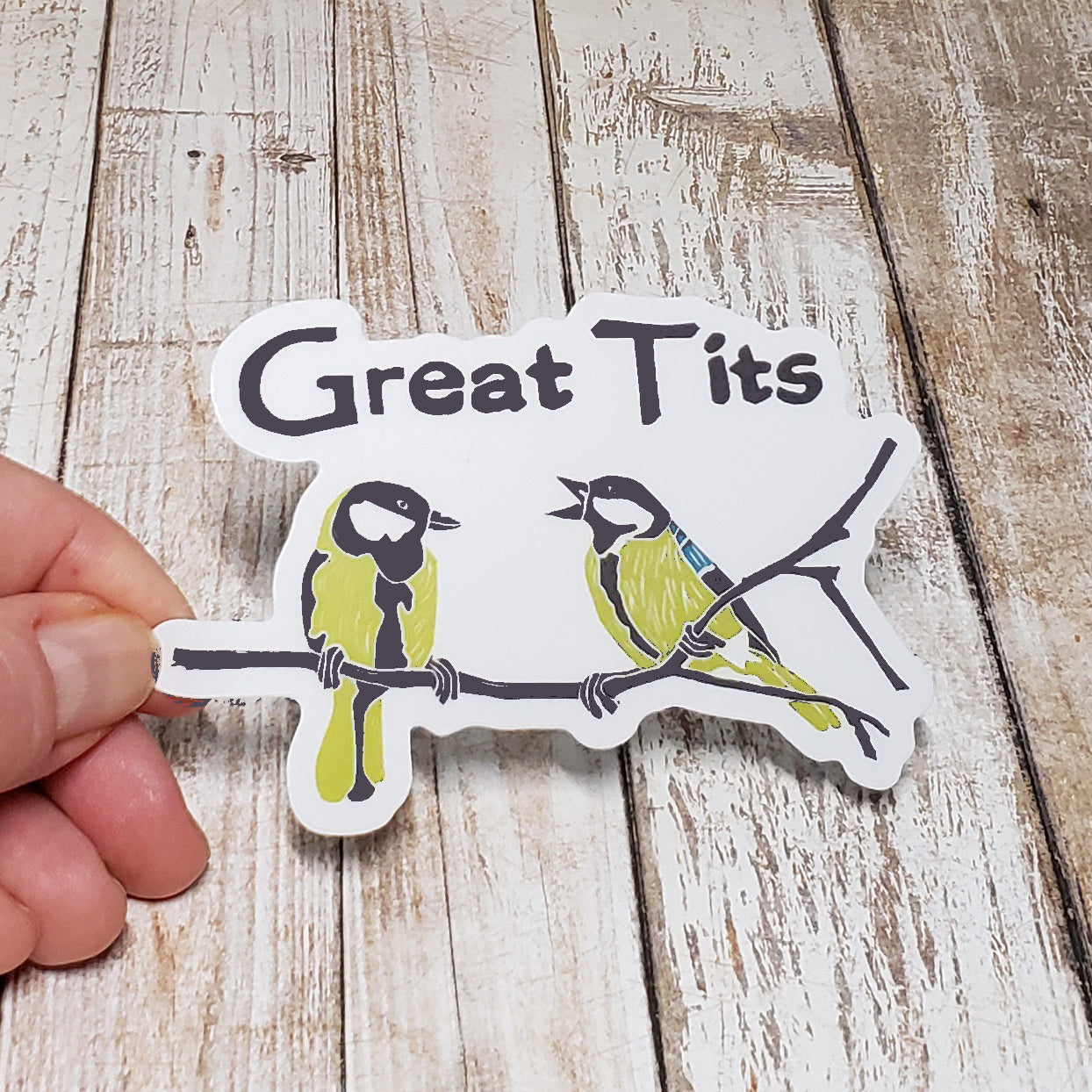 A photo of a funny sticker. There are two blue tits on a branch. Text on sticker reads 'Great Tits.'