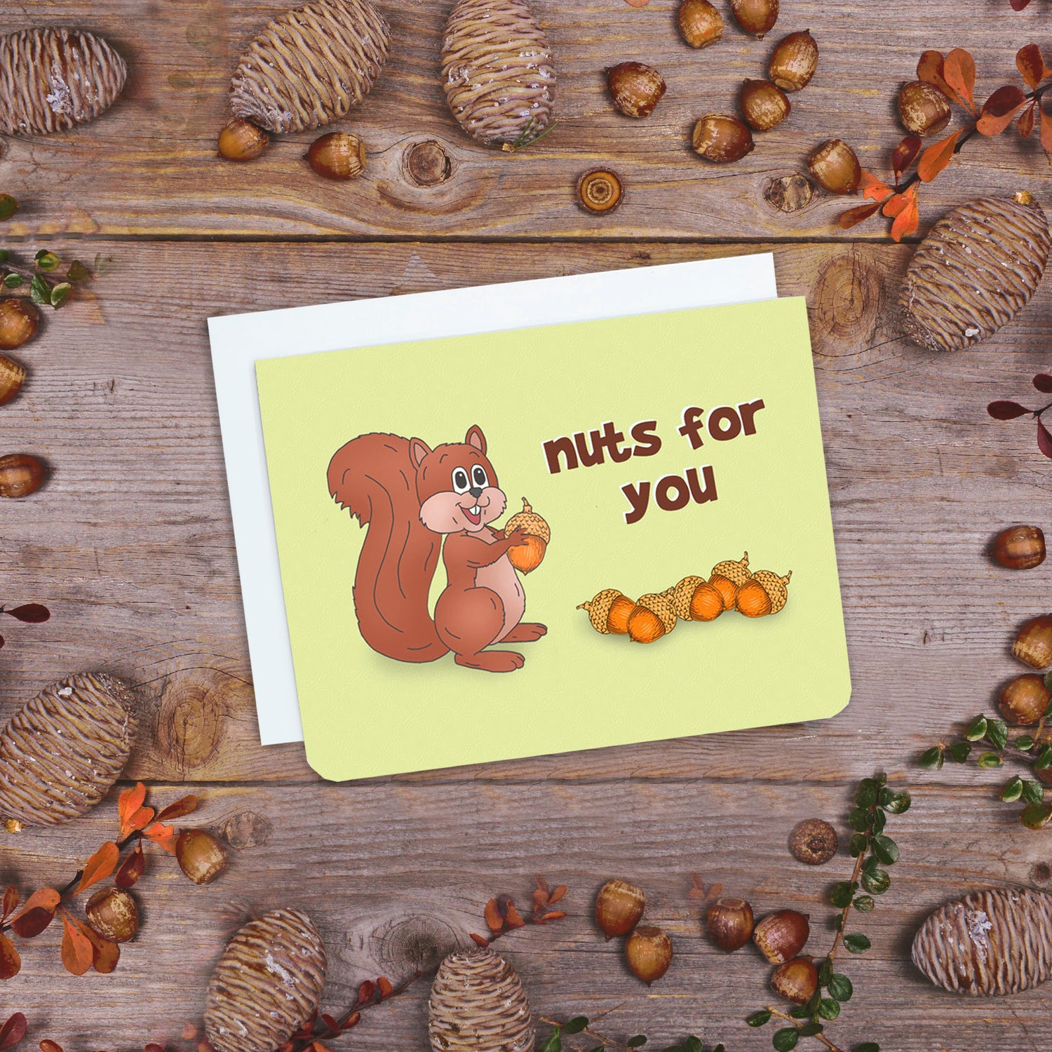 A photo of a card. It has a cartoon smiling squirrel on it. It's holding an acorn. Text on card reads, 'Nuts for You.'