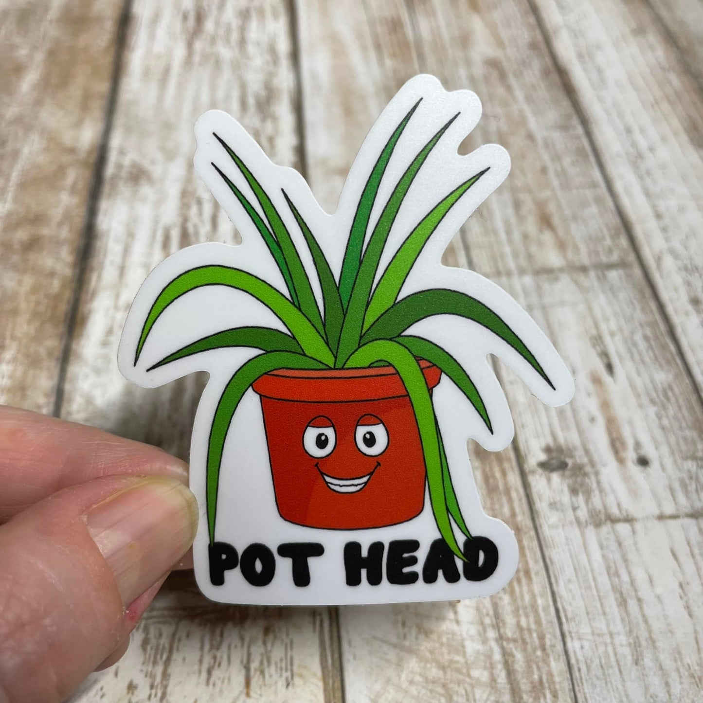 A photo of a funny sticker. The sticker features a cartoon pot plant with a smiling face. Text on sticker reads 'Pot Head.'