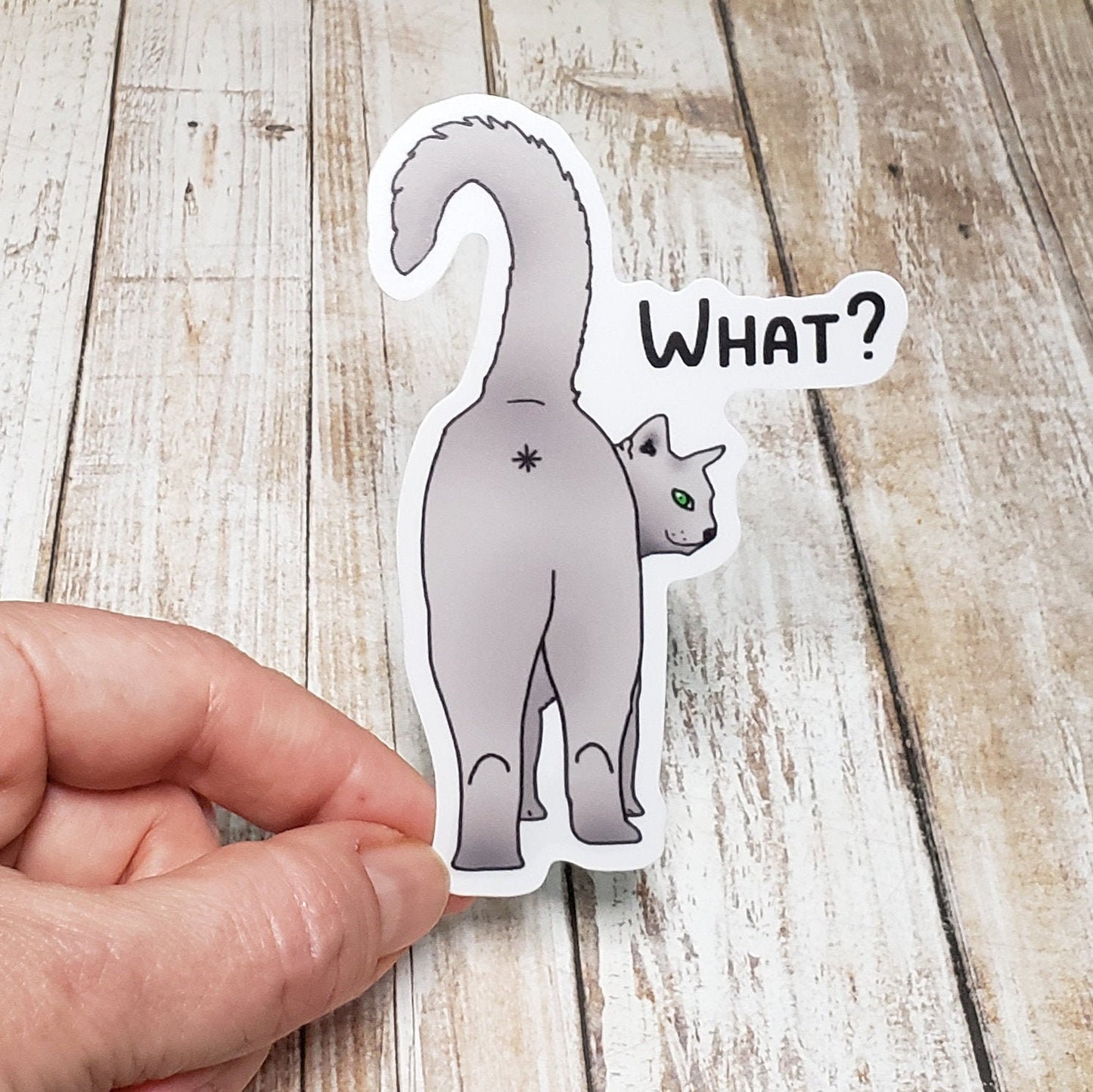 A photo of a cute sticker. It's of a cartoon cat showing its butt. Text on sticker reads, 'What?'